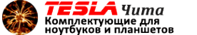 Логотип компании TESLA Чита
