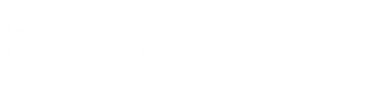 Логотип компании Estel Chita Studio