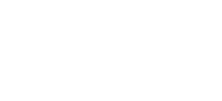Логотип компании За рулем НОЧУ