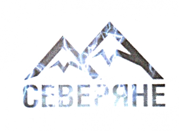 Логотип компании Северяне