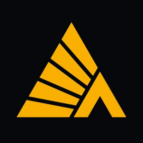 Логотип компании Деловые Линии Чита